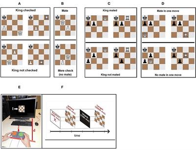 Expertise-dependent perceptual performance in chess tasks with varying complexity